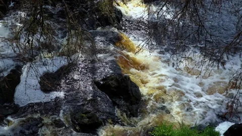 Rushing Forest Stream with Black Water and Rocks Stock Footage 277133129