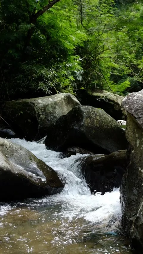 Rushing forest stream cascades over ancient rocks in lush green wilderness. Stock Footage 323778804
