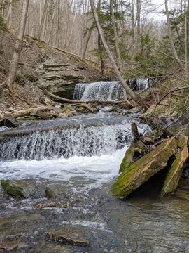 Rushing forest stream cascading over rocky ledges in a deep ravine during spring Stock-Fotos