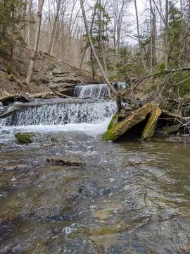 Rushing forest stream cascading over rocky ledges in a deep ravine during spring Stock Photos