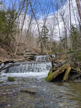 Rushing forest stream cascading over rocky ledges in a deep ravine during spring Foto stock