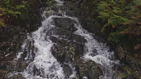 Rushing Forest Stream Flowing Over Rocks in Norway Stock Footage 345759079