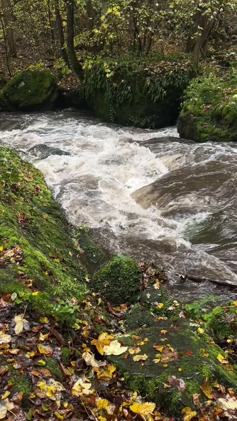 Rushing Forest Stream, Vogtland Stock Footage 310874250