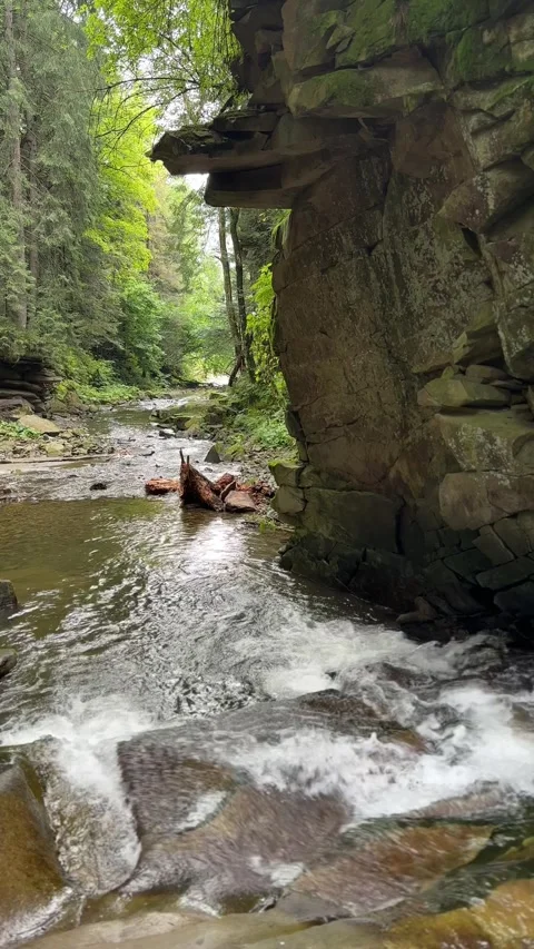Rushing fresh water stream in a wild rocky canyon surrounded by pine trees Video stock 336260258