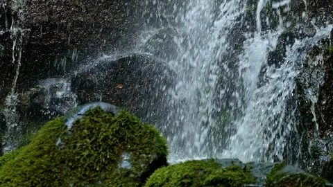 Rushing macro stream mossy lush 1 Columbia River Gorge Oregon Waterfalls 01 Stock Footage 81862472