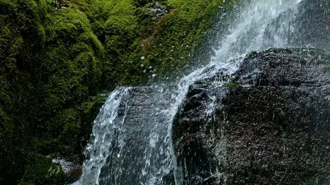 Rushing macro stream mossy lush 2 Columbia River Gorge Oregon Waterfalls 02 Stock-Footage 81862635