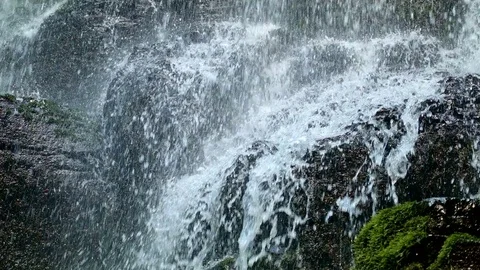 Rushing macro stream mossy lush 3 Columbia River Gorge Oregon Waterfalls 03 Stock Footage 81863018