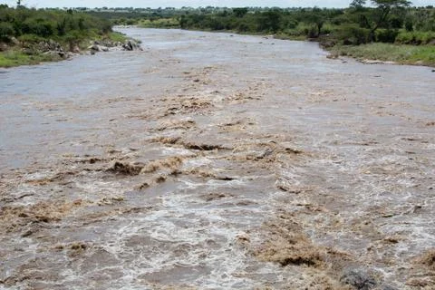 Rushing Mara River Stock Photos
