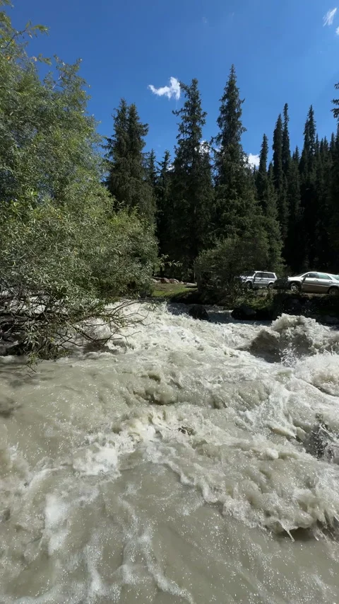 Rushing mountain river and pine trees in Jeti-Oguz, 4K vertical Stock Footage 342029541