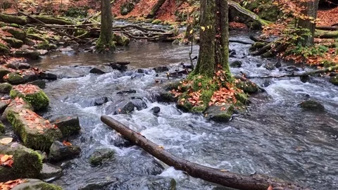 Rushing mountain river flowing through autumnal forest scenery Video stock 322014382
