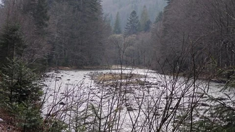 Rushing Mountain River Flowing through Forest during Light Rain 4K Stock Footage 335098910