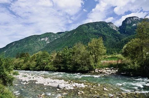 Rushing Mountain River Flowing Through a Lush Green Valley Stock Photos