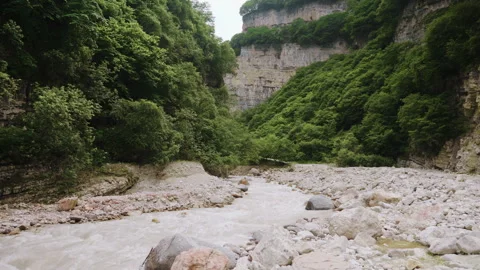 Rushing Mountain River Flows Through Rocky Canyon In Wilderness Green Forest Stock-Footage 346116727