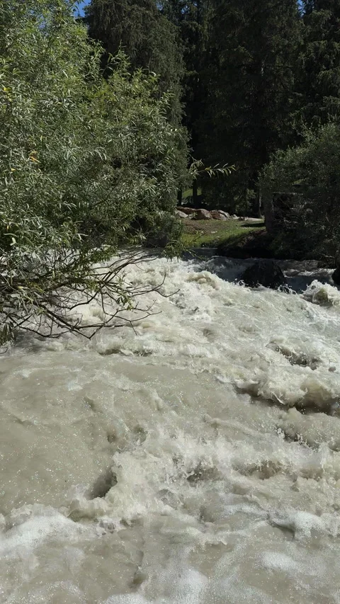 Rushing mountain river in Jeti-Oguz gorge, 4K vertical Stock Footage 342029617