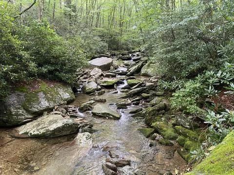 Rushing Mountain River Stock Photos