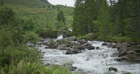 Rushing Mountain River with Stone Bridge in Conifer Forest, Norway Stockbeeldmateriaal 323678009
