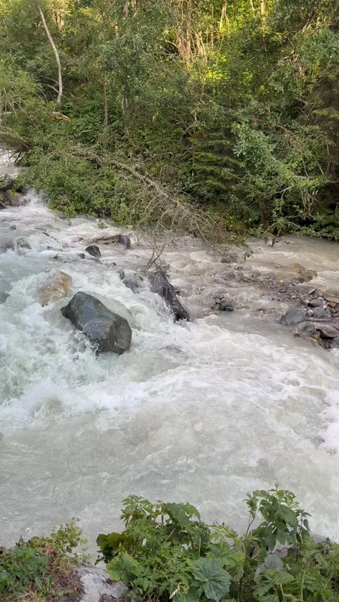 Rushing Mountain River Stream Stock Footage 342502081