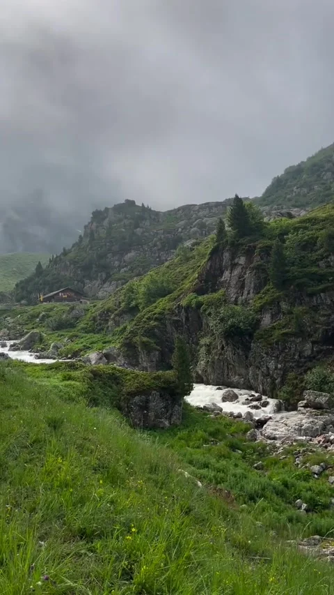 Rushing Mountain Stream in Alpine Landscape Stock Footage 339881551