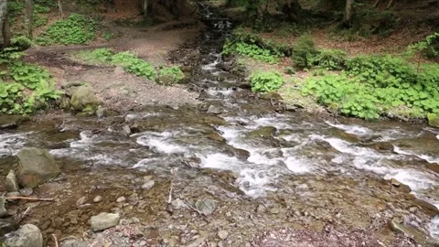 Rushing mountain stream flowing over rocks in a lush green forest Stock Footage 338258207