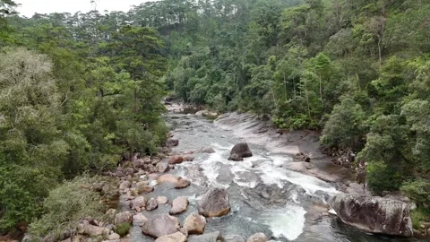 Rushing Mountain Stream Flowing Over Rocky Rapids in Pine Forest 스톡 동영상 343477732
