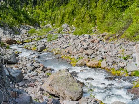 Rushing mountain stream flowing over rocks in Washington forest 写真素材