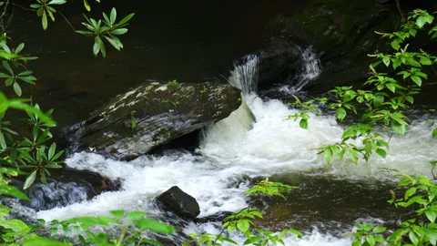 Rushing mountain stream flows down the mountain 動画素材 315076890