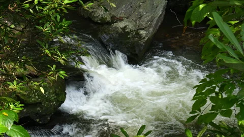 Rushing mountain stream flows down the mountain Stock Footage 315076891