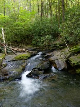 Rushing mountain stream flows down the mountain 写真素材