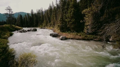 Rushing Mountain Stream Stock Footage 83094499