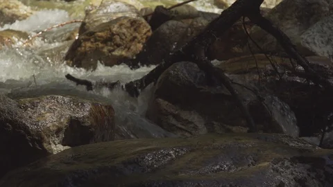 Rushing Mountain Stream Stock Footage 92489507