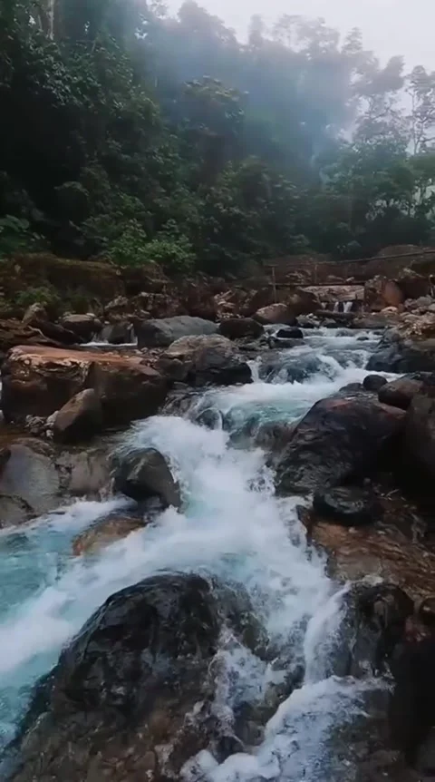 Rushing Mountain Stream Stock Footage 341629100
