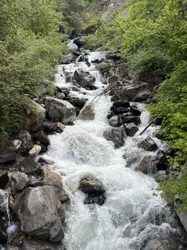 Rushing Mountain Stream in Green Forest of Servoz, France Stock Photos