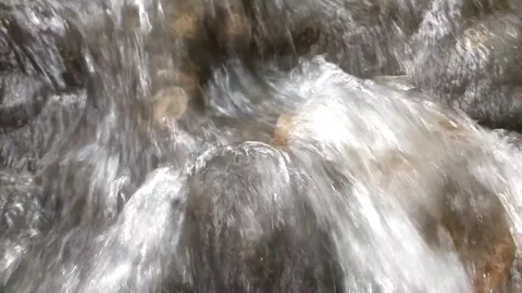 Rushing Mountain Stream Over Rocks Stock Footage 332156502