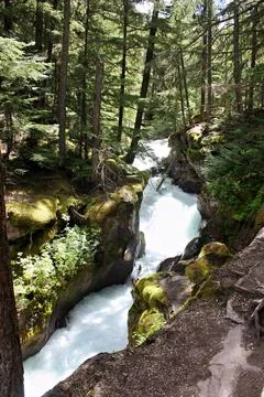 Rushing Mountain Waterfall Cascading Through Lush Green Forest Stock Photos