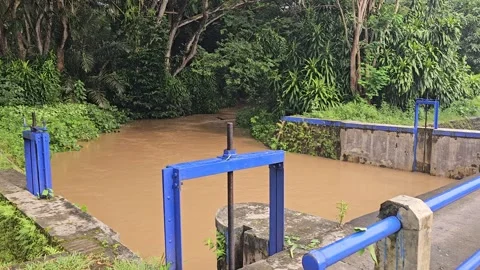 Rushing Muddy River Flowing Over Dam in Tropical Jungle Видео 332851520