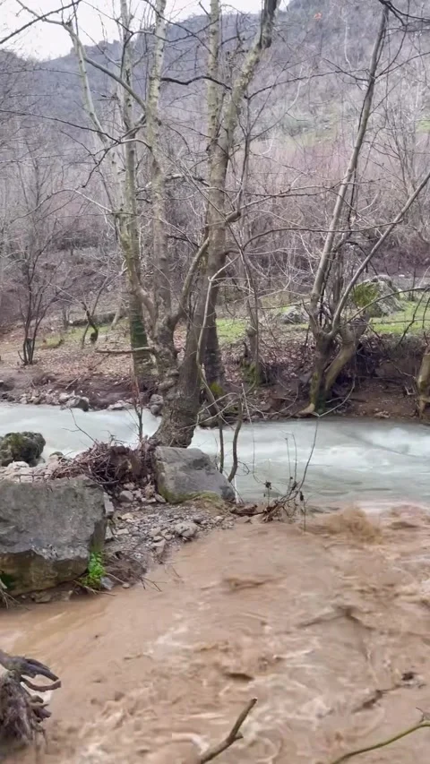 Rushing Muddy River Flowing Through Mountain Forest Video stock 340871209