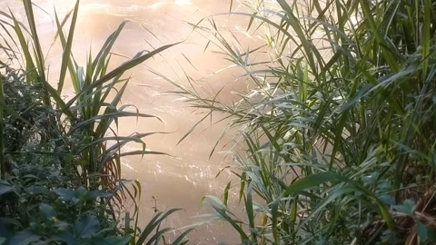 The Rushing Muddy River Видео 335081706