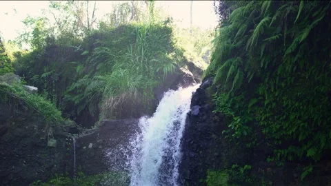 A rushing natural waterfall surrounded by cliffs and lush green trees Stock Footage 339039587