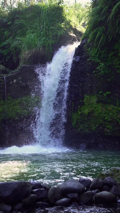 A rushing natural waterfall surrounded by cliffs and lush green trees Stock Footage 339039719
