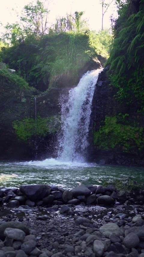 A rushing natural waterfall surrounded by cliffs and lush green trees Stock Footage 339039726