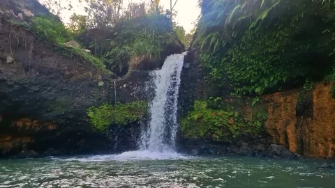 A rushing natural waterfall surrounded by cliffs and lush green trees Stock Footage 339040014