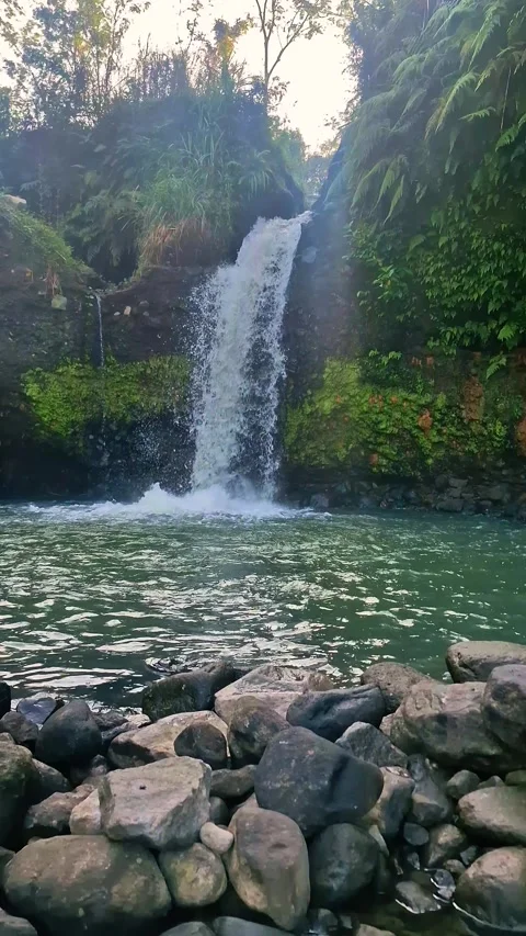 A rushing natural waterfall surrounded by cliffs and lush green trees Stock Footage 339040071