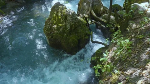 Rushing Rainforest River Vídeos de archivo 280592183