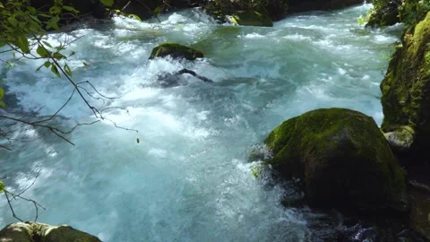 Rushing Rainforest River Stock Footage 280592360