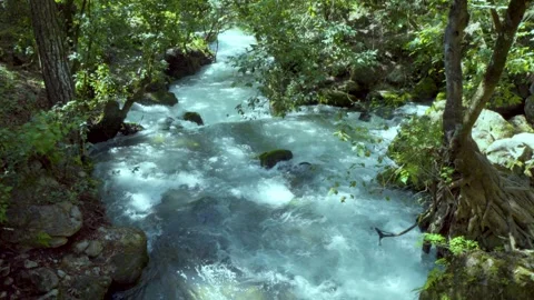 Rushing Rainforest River Vídeos de archivo 280592414
