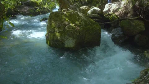 Rushing Rainforest River Vídeos de archivo 280592542