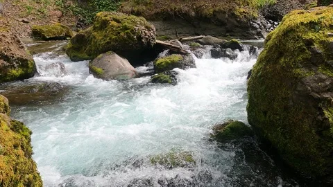 Rushing Rapids in Creek 4K 30fps Stock Footage 294121497