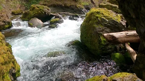 Rushing Rapids in Creek 4K 60fps Stock Footage 294122210