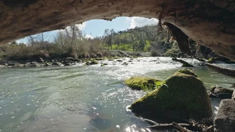 Rushing Rapids of Putah Creek Framed by a Fallen Tree Stock Footage 329326860
