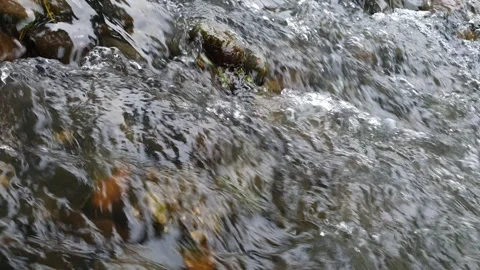 Rushing Rapids in Shallow Stream - Close-Up of Fast Churning Water Stock Footage 340051316